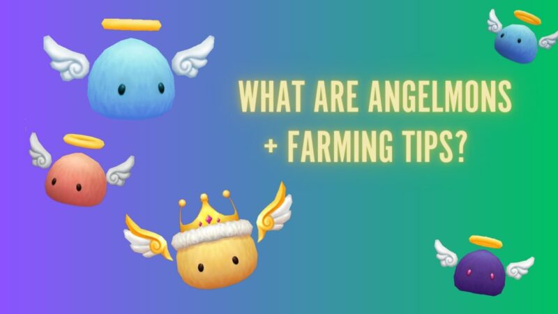 Level Up with Angelmons - Your Key to Success in Summoners War